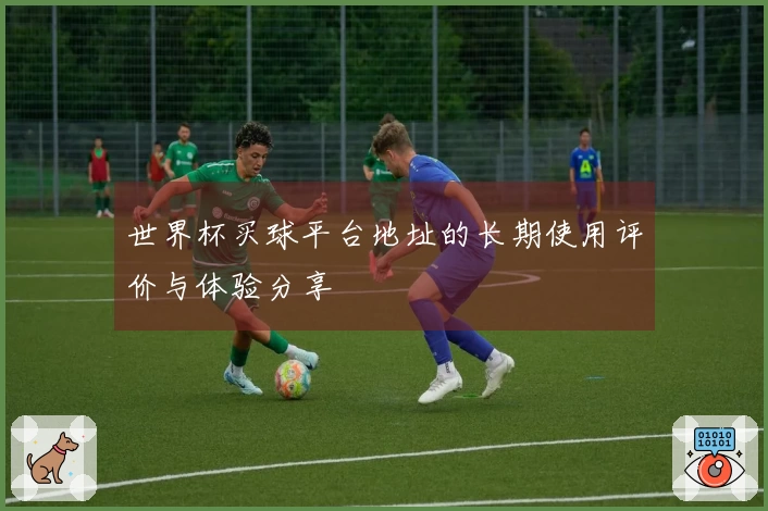 世界杯买球平台地址的长期使用评价与体验分享