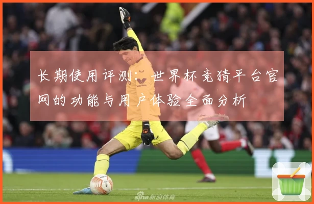 长期使用评测：世界杯竞猜平台官网的功能与用户体验全面分析