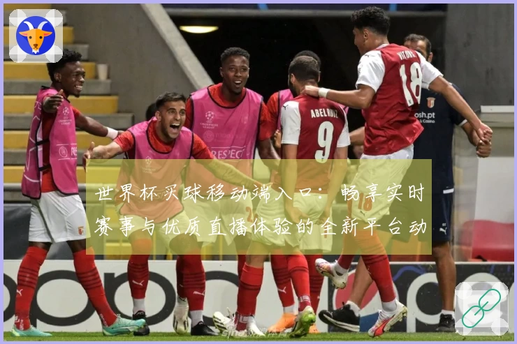 世界杯买球移动端入口：畅享实时赛事与优质直播体验的全新平台动态