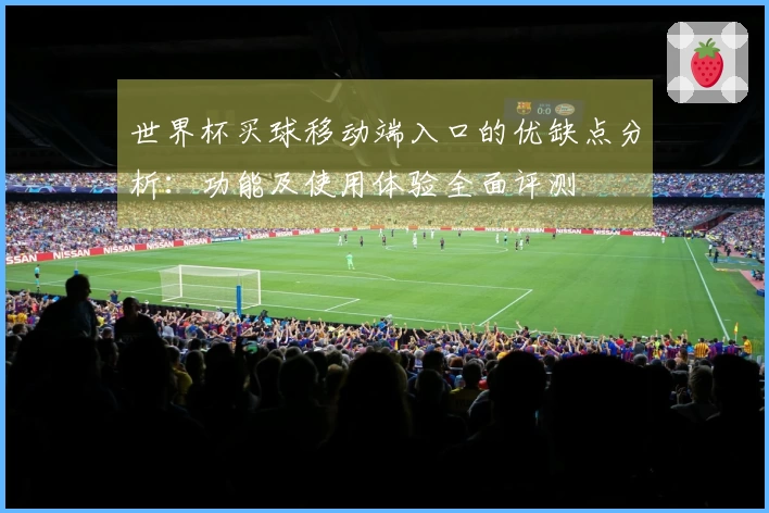 世界杯买球移动端入口的优缺点分析：功能及使用体验全面评测