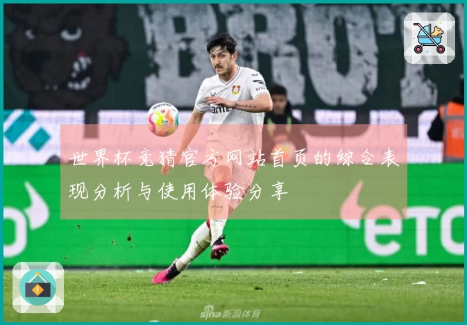 世界杯竞猜官方网站首页的综合表现分析与使用体验分享