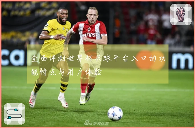 全面评测世界杯买球平台入口的功能特点与用户体验