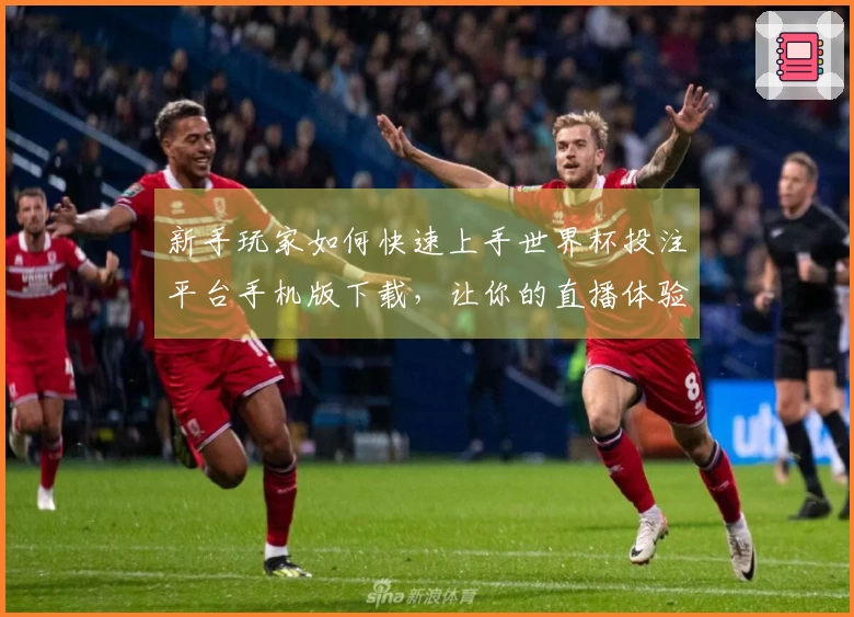 新手玩家如何快速上手世界杯投注平台手机版下载，让你的直播体验更加畅快